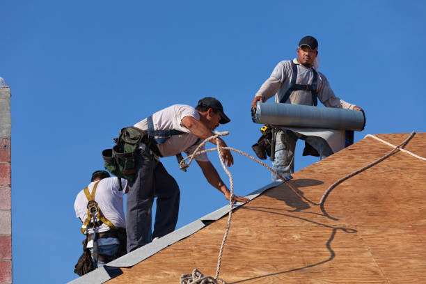 Best Roof Leak Repair  in Owenton, KY